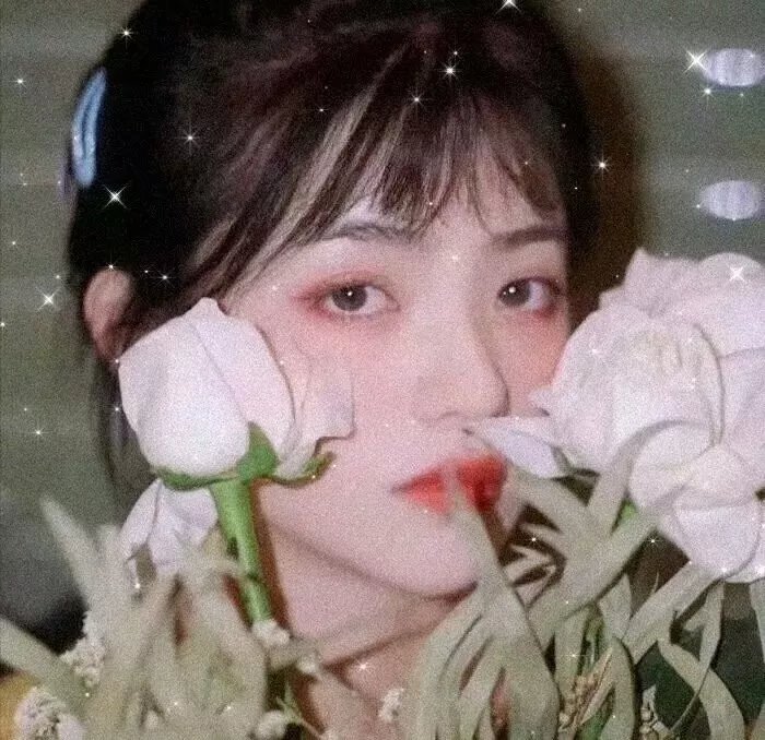 人体结构